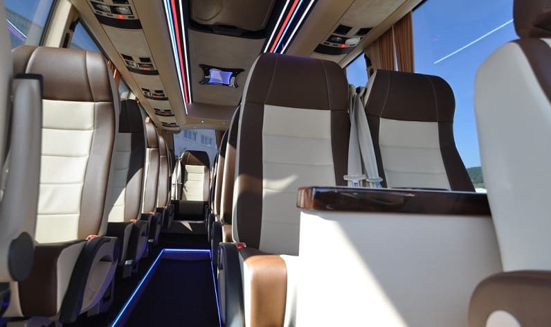 Italy: Bus rent in Viareggio, Tuscany