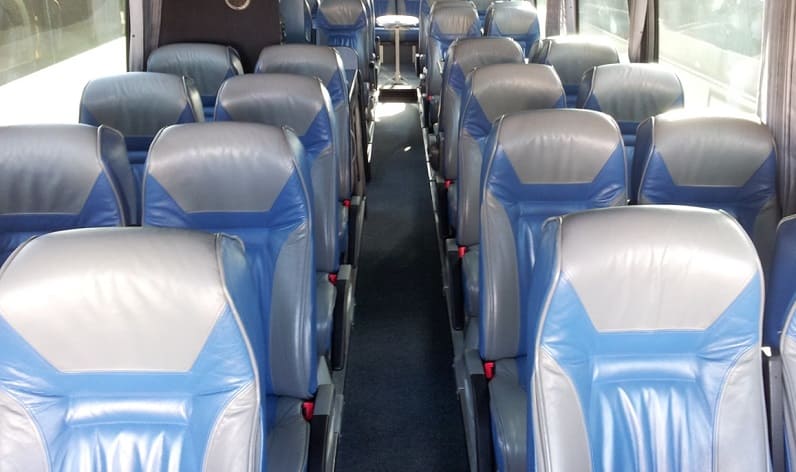 Italy: Bus rental in Foligno, Umbria