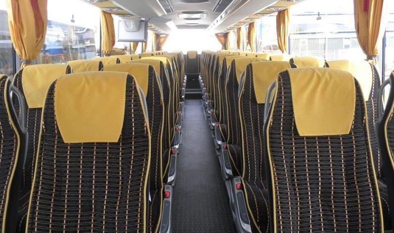 Italy: Bus hire in Fano, Marche